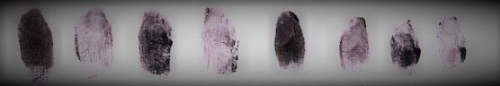 fingerprint-1825439_960_720 (1)