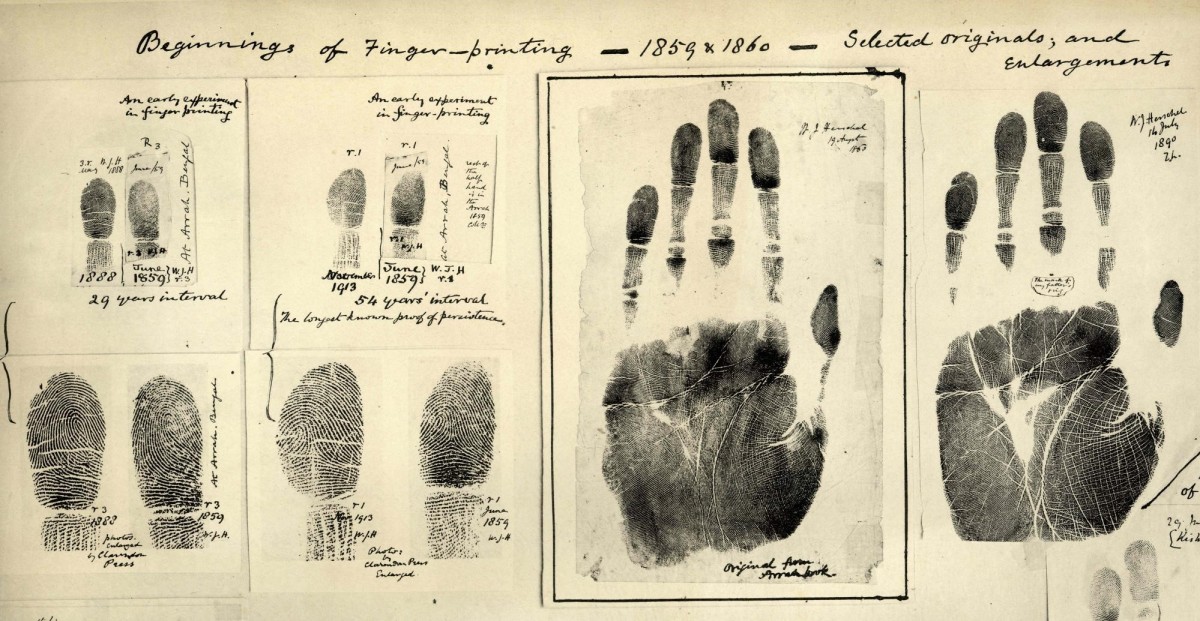Why your fingerprints are unique